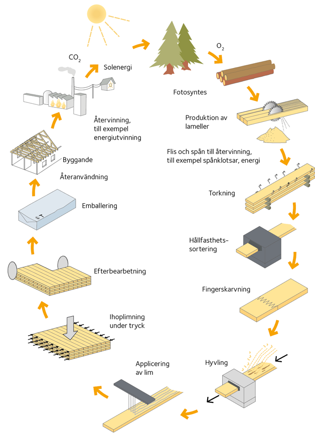 Schematisk bild över KL-träproduktion.